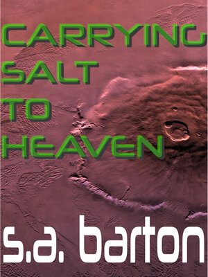 cover image of Carrying Salt to Heaven